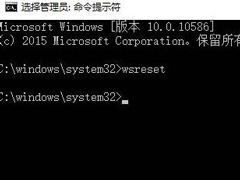 Win10系统下运行UWP时总是闪退怎么办？