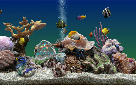 3D热带鱼水族箱屏保 V3.1汉化破解版