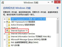 Win8怎么卸载IE浏览器？Win8卸载IE浏览器的方法