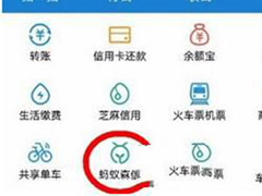 支付宝蚂蚁森林怎么查看实景地图?