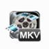 Emicsoft MKV Converter V4.1.20 英文安装版