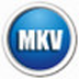 闪电MKVAVI转换器 V13.3.0 官方安装版