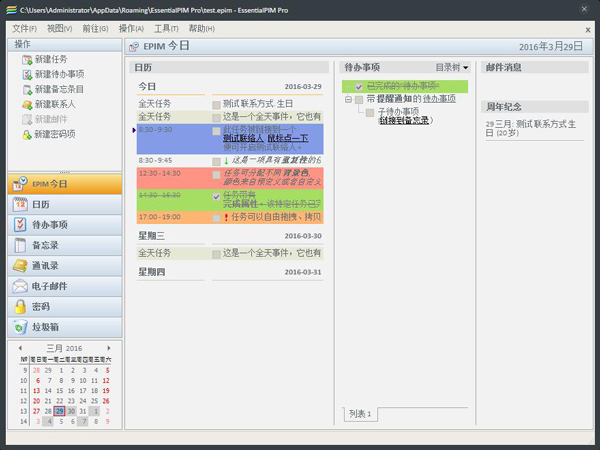 EssentialPIM(日程安排软件) V6.55 专业版