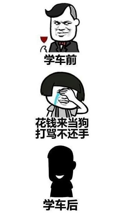 蘑菇头考完驾照表情包