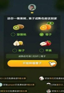 续丰果园