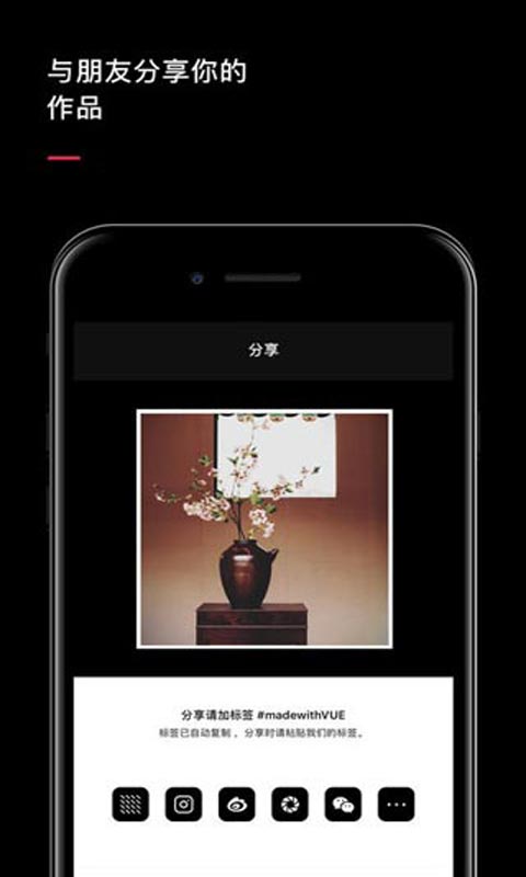 VUE安卓版 V2.0.15