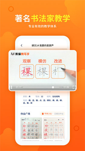 熊猫课堂安卓版 V1.2.8