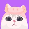 喵爪拼图iPhone版 V1.0