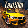TaxiSim2020
