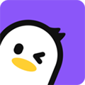 皮玩安卓版 V1.1.5