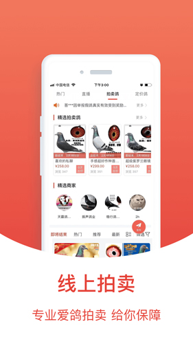 搜鸽天下安卓版 V2.1.14.4