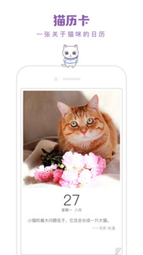一日猫安卓版 V2.4.7