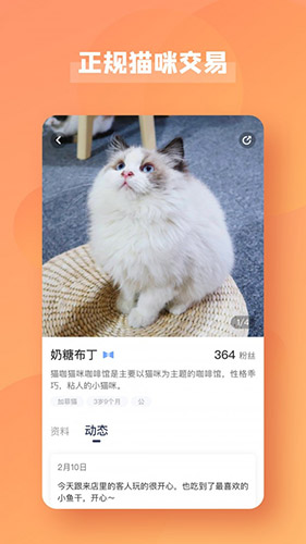 宠酱安卓版 V1.2.21