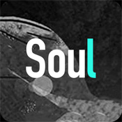 Soul安卓版 V1.0.4