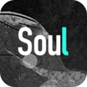 Soul安卓破解版 V1.9