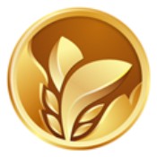 二丫网安卓版 V1.0