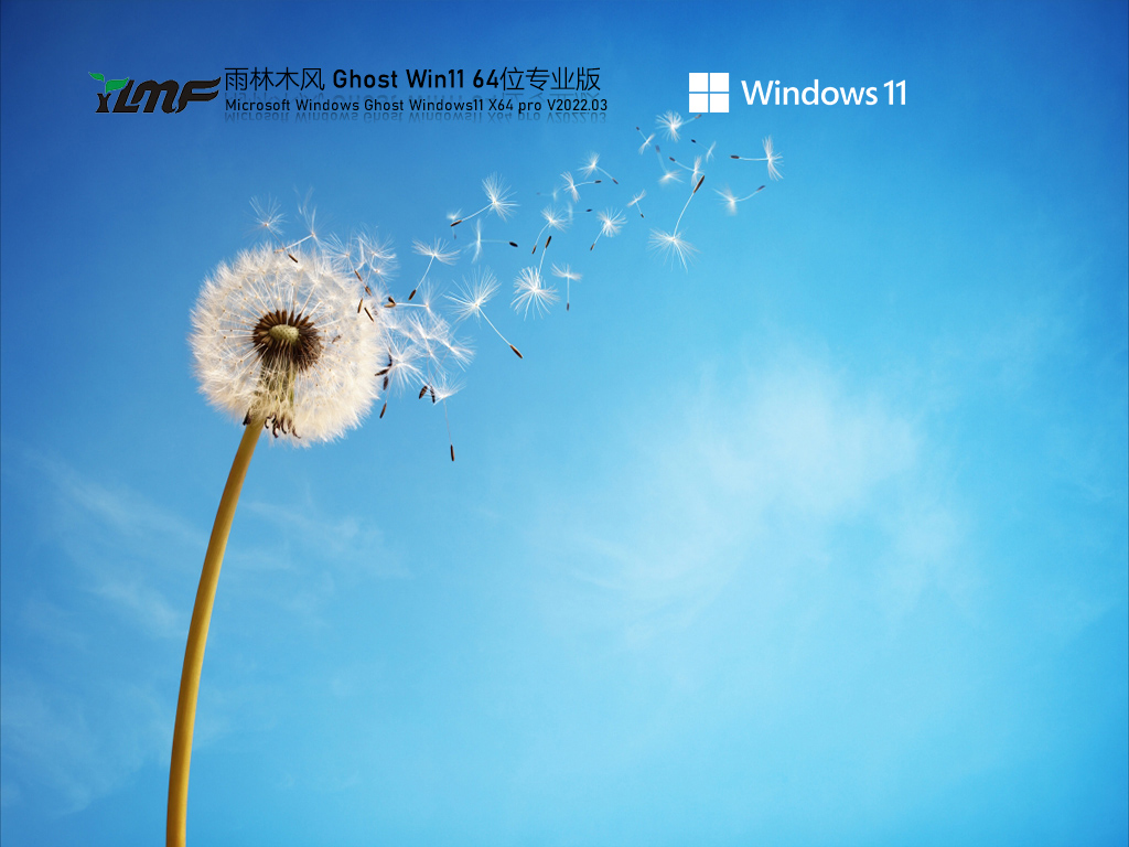 雨林木风 Ghost Win11系统64免费专业版 V2022