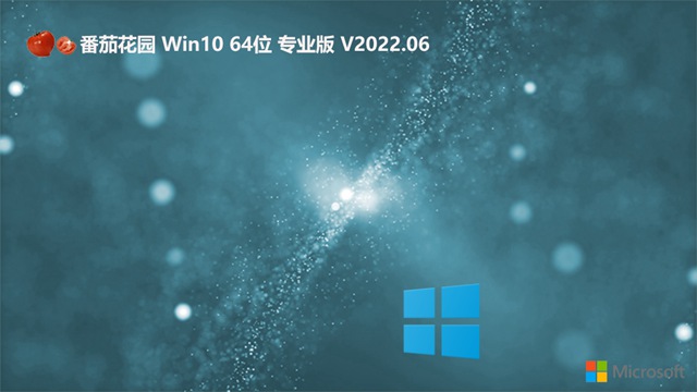 番茄花园Win10系统64位绿色专业版 V2022.06