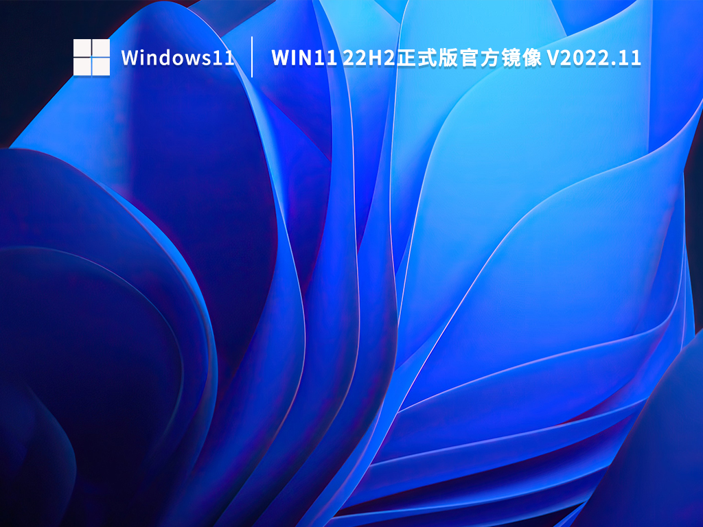 系统家园Win11系统64位官方正式版 V2022.11