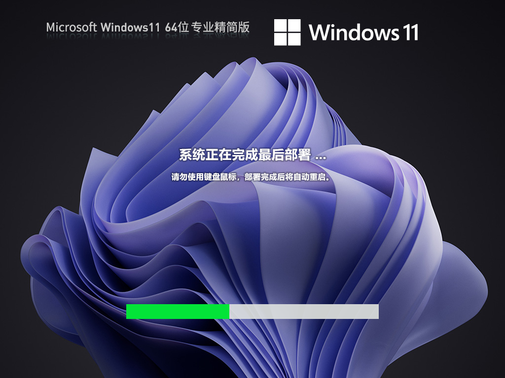 系统家园Win11系统64位绿色精简版 V2023.06