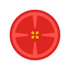 蕃茄出行iPhone版  V4.0