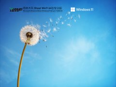 雨林木风Ghost Win11系统64免费专业版 V2022