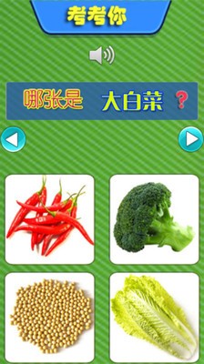 儿童教育游戏学蔬菜安卓版 V1.0