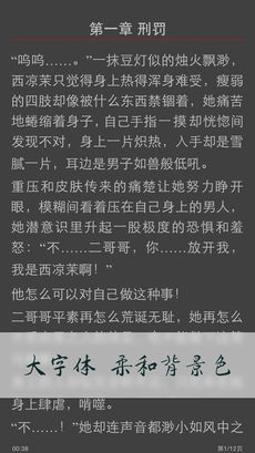 小说连载阅读iPhone版 V1.0