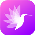 小鹅壁纸安卓版 V6.0