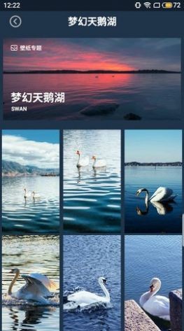 壁纸图片大师安卓版 V6.0.3