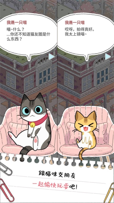 猫友圈iPhone版 V6.0