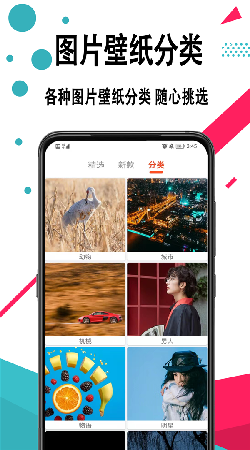 好看手机壁纸安卓官方版 V2.0.1
