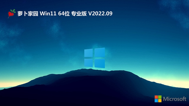 萝卜家园Win11系统64位专业汉化版 V2022.09