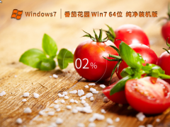 番茄花园Win7系统64位纯净绿色版 V2022.12