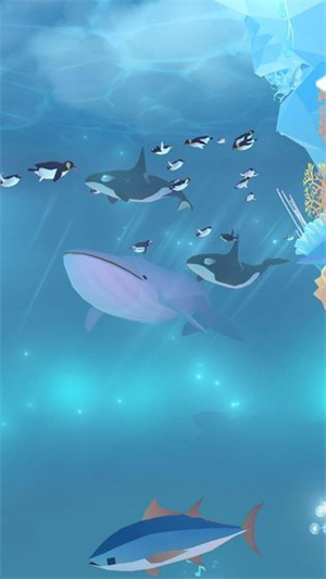 深海水族馆极地安卓版 V2.0