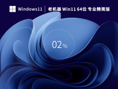 萝卜家园Win11系统64位官方精简版 V2023.02