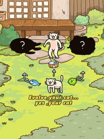 猫的进化世界iphone版 V1.3.3