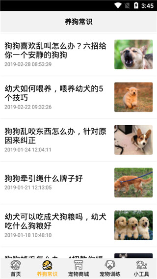 狗语翻译器安卓版 V1.2.8
