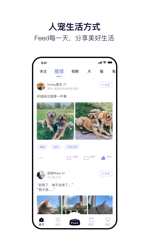 Feed安卓版 V1.9.6