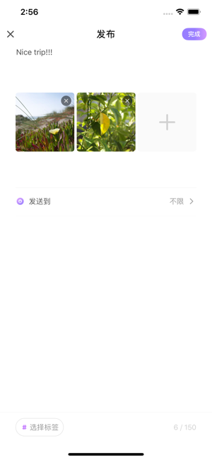 小鱼星球iphone版 V1.0.8