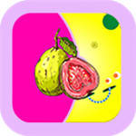 丝瓜草莓芭乐向日葵千层浪视频iphone版 V2.0