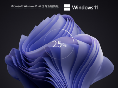 系统家园Win11系统64位绿色精简版 V2023.06