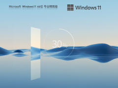 系统家园Win11系统64位免费精简版 V2023.08