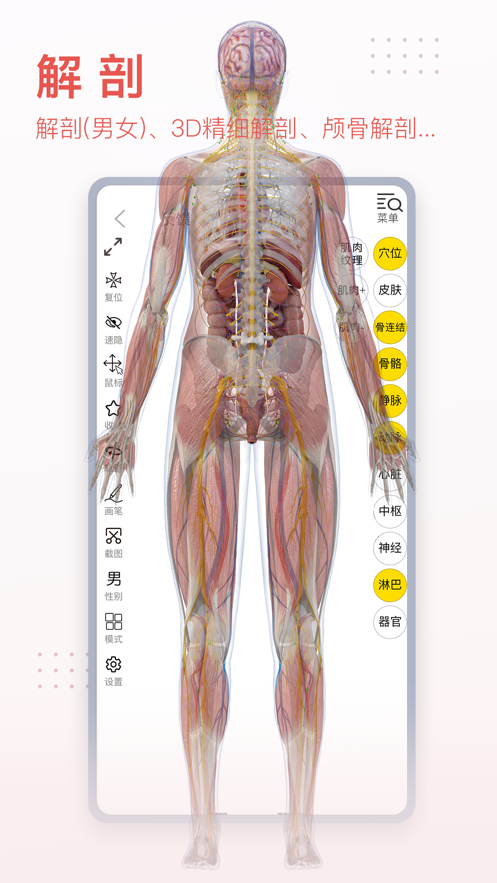 3dbody解剖图安卓手机版 V8.6.90