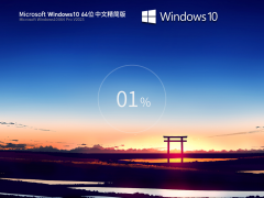 电脑公司Win10系统22H264位中文精简版 V2024.03