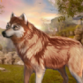 野狼动物模拟器安卓版 V1.0.3