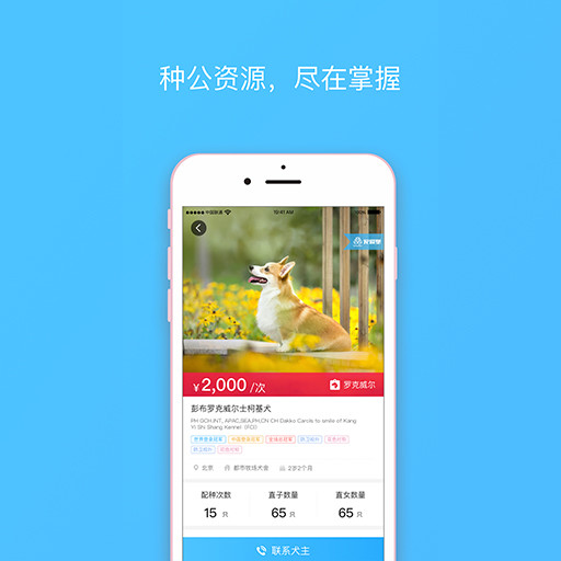 宠爱堡iPhone版 V2.0.4
