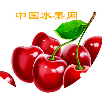 中国水果网iPhone版 V1.4